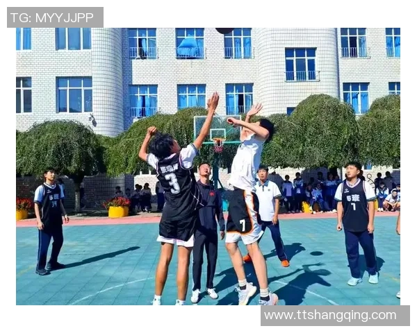 把篮球拍起的瞬间感受运动的魅力与团队合作的力量